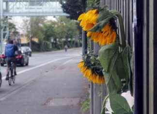 Sind Radfahrer in Augsburg einem hohen Risiko ausgesetzt? news-18082024-224911