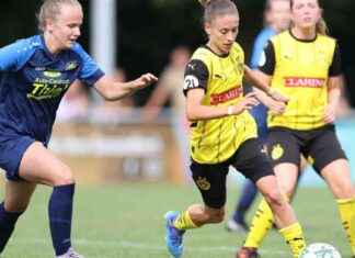 Niederlage gegen Borussia Dortmund: Lob vom Trainer für RN+ SV Herbern news-18082024-225020