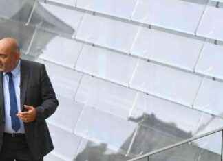 Omid Nouripour: Ampelkoalition als Übergangsregierung news-18082024-225355