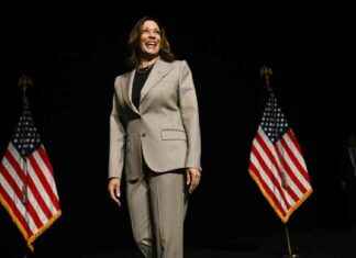 USA: Sind die Hürden für eine schwarze Präsidentin Harris überwindbar? news-18082024-225643