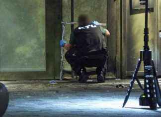 Explosion in Düsseldorf: Neue Anschläge der Mocro-Mafia? news-19082024-105810