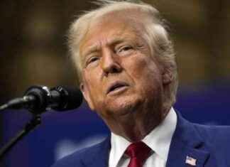 Trump versucht Taylor Swift-Fans mit gefälschten Fotos zu täuschen news-19082024-230440