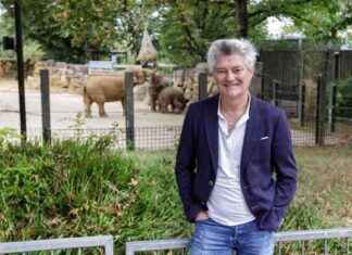 Klage gegen fristlose Entlassung: Ex-Zoochef Busemann vor Gericht news-20082024-230422