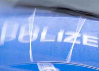 Anstieg der politischen Gewalttaten in Brandenburg: Ursachen und Maßnahmen news-21082024-164528