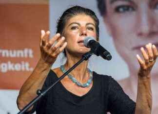 Analyse: Wagenknecht verglichen mit Wladimira Putina news-21082024-164819