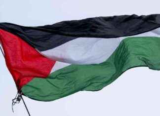 Prozess um umstrittene Parole bei Pro-Palästina-Demo in Nahost-Konflikt news-22082024-044715