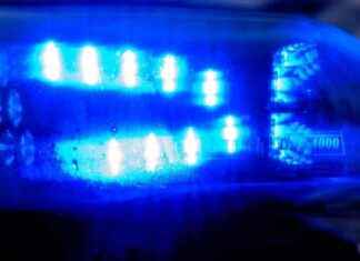 Radfahrer bei Tramunfall in Zwickau schwer verletzt news-22082024-165028