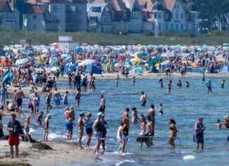 Vibrionen in der Ostsee: Alles über Infektionen, Symptome und Behandlung news-22082024-165108