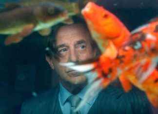 TV-Krimi: „Allmen und das Geheimnis des Koi“ – Tod im Aquarium news-23082024-115453