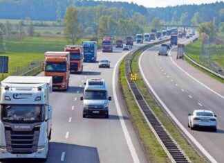 Neuer Titel: Klimapolitik: Bedeutung von Verboten in Frage gestellt news-23082024-235917