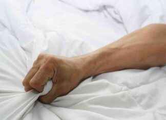 Solo-Sex: Tipps und Techniken für echten Hochgenuss news-25082024-000755