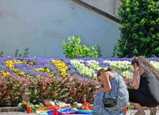 Anschlag in Solingen: Verdächtiger erhält Haftbefehl news-26082024-000622