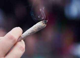 Verdacht auf Drogenhandel: 54-Jähriger im Fernbus auf A70 festgenommen und in U-Haft news-26082024-121203