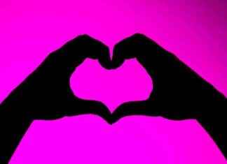 Die Wissenschaft der Liebe: Wie Emotionen das Gehirn beeinflussen news-26082024-121429