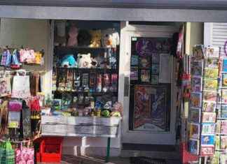 Pokémon in Berlin: Spielend lernen und Spaß haben mit diesem Hobby news-26082024-121504