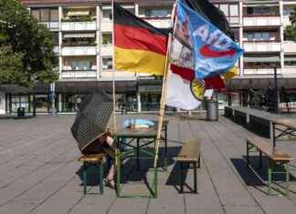 Wirtschaft und AfD: Konfrontation vor Thüringen Landtagswahl news-27082024-000949