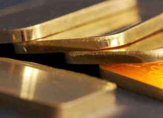 Deutscher mit 13 kg Feingold vom russischen Zoll erwischt news-27082024-001245