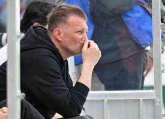 Oberliga-Trainer entschuldigt sich nach Angriff auf eigenen Torwart news-27082024-121732