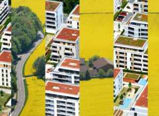 Herausforderungen für die wachsende Bevölkerungsschicht: steigender Druck und Belastung news-28082024-002212