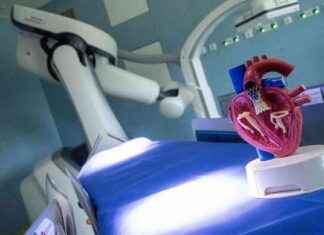 Prävention von Herzerkrankungen: Neue Maßnahmen geplant news-28082024-123156