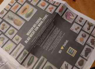 Edeka warnt vor Stimme für AfD: „Blau ist keine gute Wahl“ news-29082024-124045