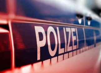 Schweich: Reh schwimmt im Gartenpool bei Nacht news-29082024-124400