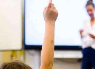 Bildungsmonitor 2021: Sachsen-Anhalt auf Platz X im Vergleich news-30082024-125429