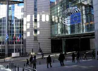 Die Europäische Verteidigungsunion: Notwendigkeit einer EU-Armee? news-30082024-125515