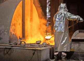 Grüne Transformation: Auswirkungen auf die Thyssen-Krise und die Zukunft der Industrie news-31082024-004329