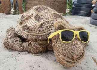 Otto Waalkes begeistert: Ottifanten erobern das Scharmbecker Erntefest news-31082024-010116