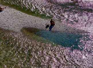 Sommer in Augsburg: Karibik-Flair und italienisches Ambiente news-31082024-124609