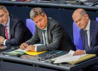 Ost-Wahlen: Auswirkungen auf die Bundesparteien news-31082024-125731