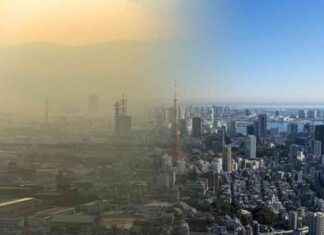 Die 10 saubersten Städte der Welt: Metropolen mit vorbildlicher Umweltbilanz news-31082024-130300