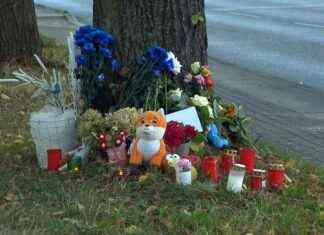 Tragischer Unfall in Hamburg: Junge (2) stirbt – Fahrer filmte Tempo 175 mit Dashcam news-02092024-130957