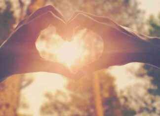 Gewinnsparen: Bankkunden stärken das Gemeinwohl mit Herzblut news-03092024-011052