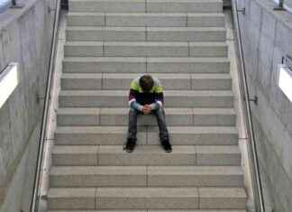 Warum wählen viele Junge die AfD? – Analyse des Wahlverhaltens von Experten news-04092024-011204