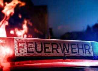 Blitzschlag verursacht Dachstuhlbrand in Schonach news-05092024-131558