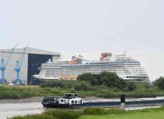 Staatseinstieg bei Meyer Werft: Union fordert Exitplan von Robert Habeck news-10092024-043106