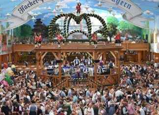 Oktoberfest 2024 in München: Tipps für das Umgehen des Verbots news-10092024-071814