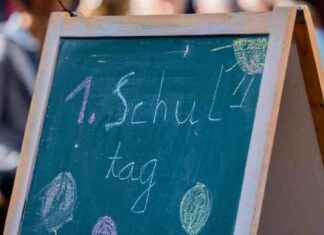 Die Bedeutung von positiver Schulbildung für Kinder news-10092024-095224