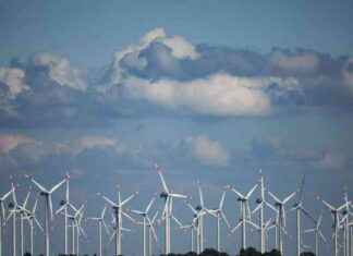 Nabu fordert mehr Schutzmaßnahmen bei Windkraftplänen: Landesentwicklungsplan news-10092024-153953