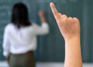 OECD Warnung: Zunahme junger Menschen ohne Abi oder Berufsabschluss news-10092024-154139