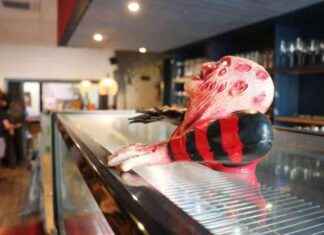 Hamburgs erstes Gruseltheater: Ein Spiel mit der Angst news-10092024-220425