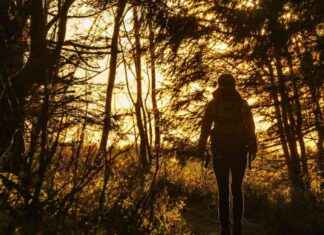 Tourismusbranche im Südwesten erreicht neuen Spitzenwert news-13092024-054113