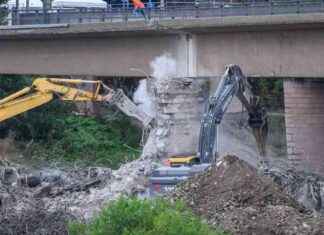 Carolabrücke in Dresden: Feuerwehr hoffnungsvoll nach Einsturz news-14092024-135422