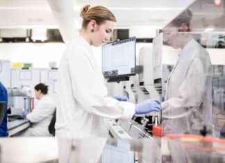 Kampf gegen medizinische Fehler: Künstliche Intelligenz im Gesundheitswesen news-14092024-233723