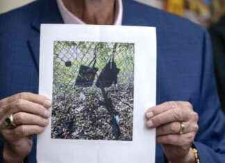 Versuchtes Attentat auf Trump: Fakten und Unklarheiten news-16092024-120047