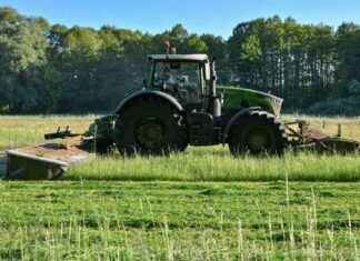 Agrarreform in der EU: Diskussion im EU-Parlament und Herausforderungen news-17092024-002030