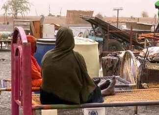 Fortschritte bei Gleichstellung von Frauen: UN-Bericht und Trends in Deutschland news-17092024-123236