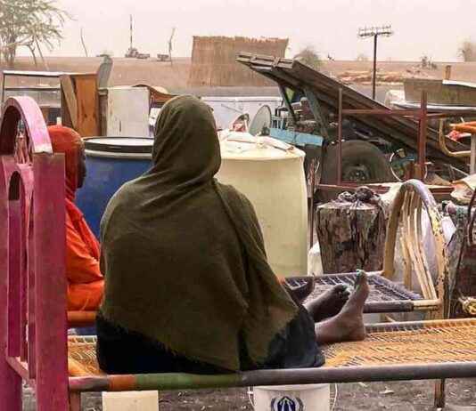 Fortschritte bei Gleichstellung von Frauen: UN-Bericht und Trends in Deutschland news-17092024-123236